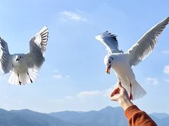 -海埂大坝