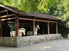 -白马涧龙池景区