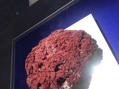 -贝壳王国博物馆