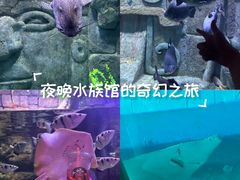 -富国岛珍珠游乐园
