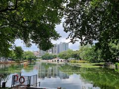 -荔湾湖公园