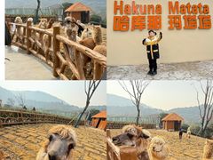-无锡动物园·太湖欢乐园