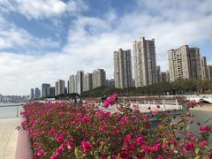 -海沧湾公园