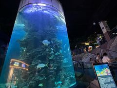 -蓬莱欧乐堡海洋极地世界