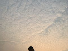 -碧桂园十里银滩