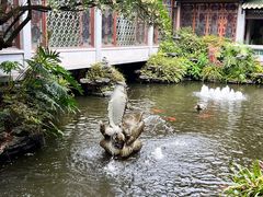 -晓港公园