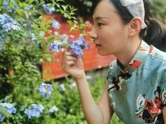 -云涛森林温泉