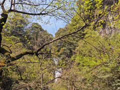 -石台牯牛降景区