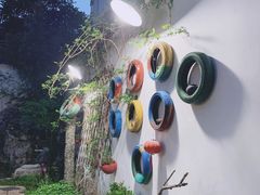 -美味之家·湖景农家乐(太湖东山店)