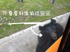 -北京野生动物园