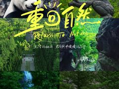 -神农架景区