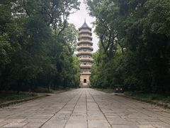 -灵谷景区