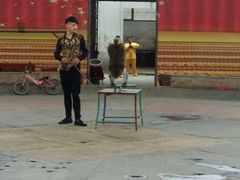 -石家庄市动物园