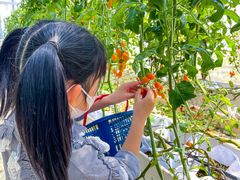 -长洲岛都市农业公园