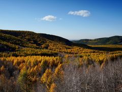 -塞罕坝国家级自然保护区