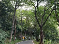 -广州雕塑公园