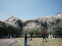 -府河摄影公园
