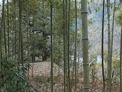 -藏龙百瀑风景区