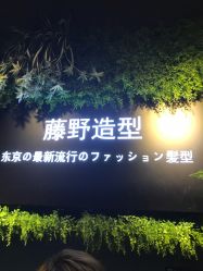 点击看大图 -藤野造型