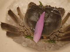 醉膏蟹-天伦里餐厅(绿城桃花源店)