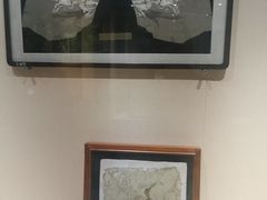 -安徽省地质博物馆