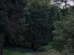-杭州植物园