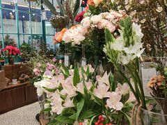 -BOBLOOM花店(宝龙旭辉广场店)