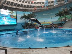 -海合安成都极地海洋公园