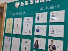 -乐琪宠物医院·犬猫专科·骨外科·急重症