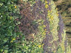 涵田度假村酒店-天目湖涵田度假村