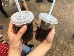 -罗汉果龙眼冰糖燉冬瓜