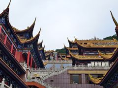 -东莞市大岭山森林公园