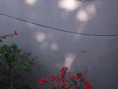 -人民公园(罗湖区)