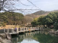 -白马涧龙池景区