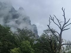 -玉石林风景区