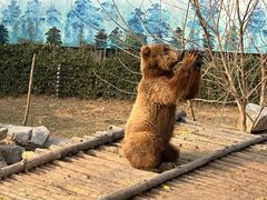 -济南野生动物世界