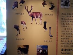 -北京麋鹿生态实验中心