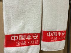 -平安（深圳）金融教育培训中心