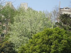 -环城公园-琥珀潭