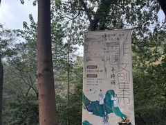 -敬亭山风景名胜区