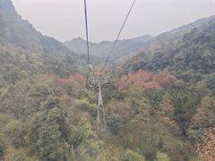 -青城山