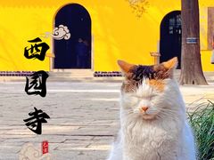 -西园戒幢律寺