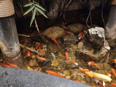 -南拳十三姨·潮汕砂锅粥(世纪金源店)