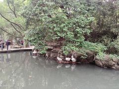 -兰亭风景区