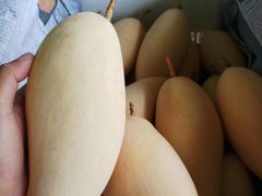 -东方鼎信农副产品交易中心