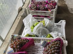 -马陆小张葡萄园农家乐