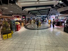 -米兰马尔彭萨国际机场