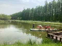 -黄海国家森林公园