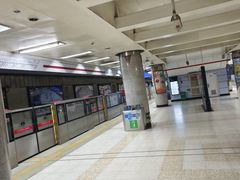 -大望路(地铁站)