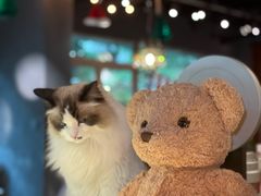 -咖法森林·咖啡  酒吧(天河店)